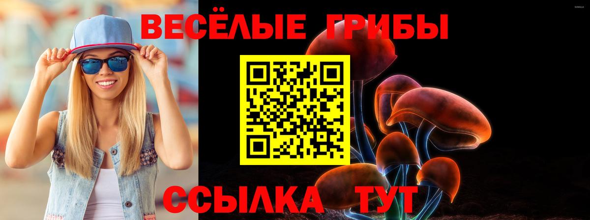 Кызыл  Псилоцибиновые грибы Cubensis  Вход с VPN  Галлюциногенные грибы прущие грибы 